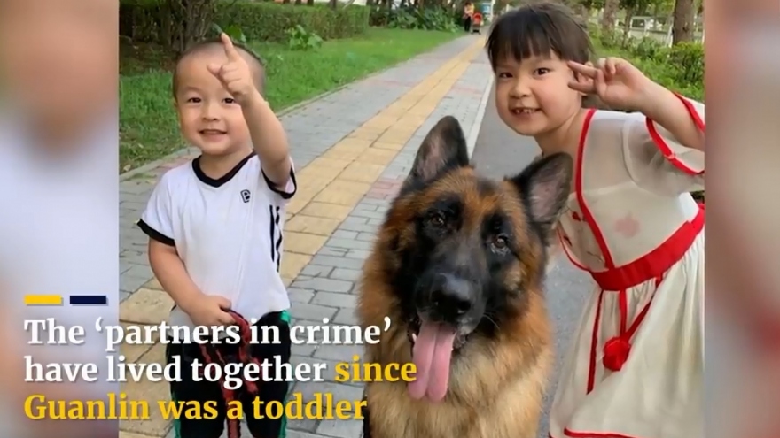Video: Chú chó béc-giê cực kỳ thông minh nhận đồ và canh chừng cho bé gái