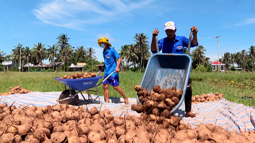 Mượn đất lập nghiệp giúp thanh niên Trà Vinh thoát nghèo
