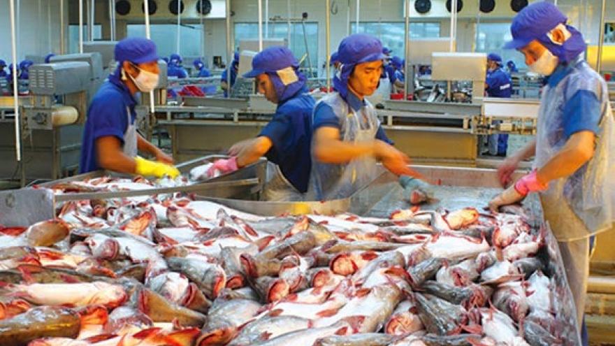 Tra fish exports eye US$1.5 billion turnover this year