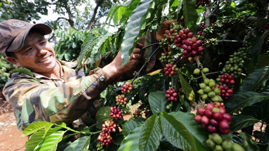 Ministry predicts 2020 export growth of 3%-4%