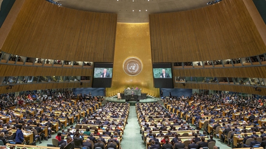 Vietnam backs reforms of UN Security Council