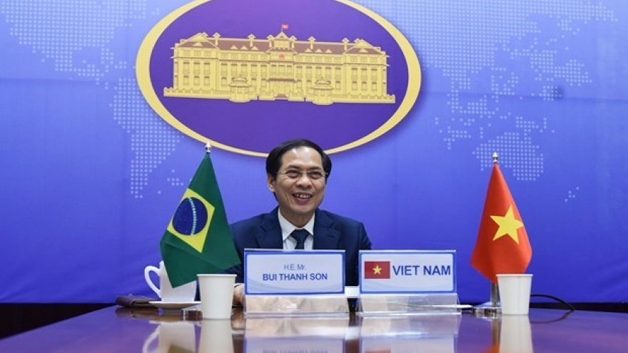Vietnam, Brazil come together to hold political consultation