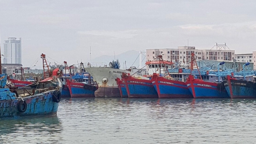 Sơ tán hàng chục ngàn hộ dân tránh bão số 13