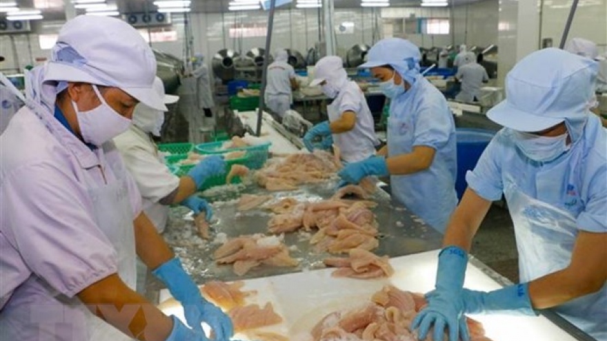 Vietnam needs seafood solutions