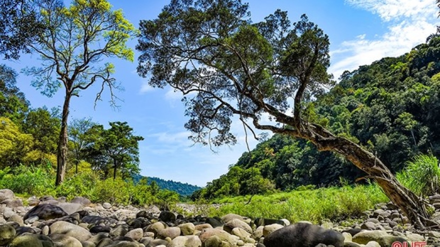 Vu Quang National Park receives ASEAN Heritage Park certificate