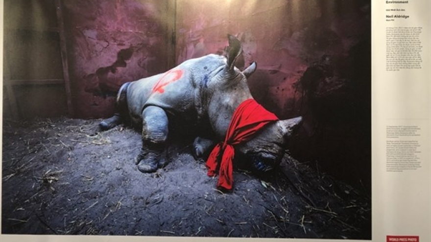 World Press Photo Exhibition 2020 opens in Hanoi