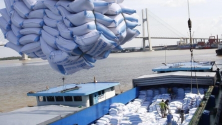 IMF: Vietnamese economy to see full recovery in 2021
