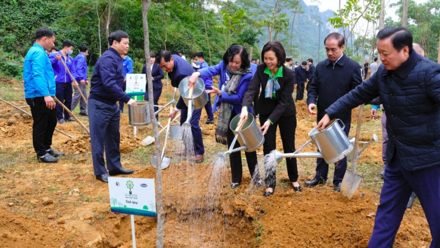 Vinamilk hoàn thành mục tiêu trồng hơn 1,1 triệu cây xanh cho Việt Nam trong năm 2020