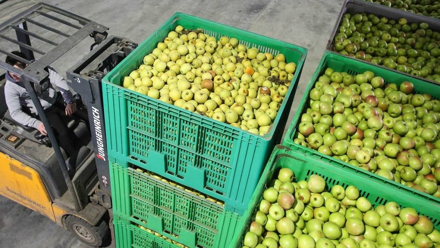 Nga cấm nhập cà chua và táo từ Azerbaijan từ ngày 10/12