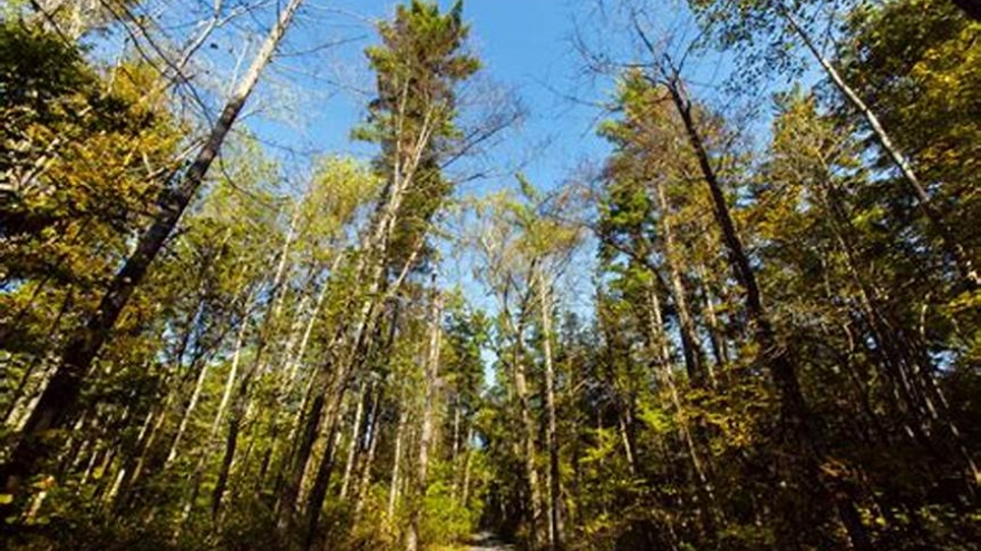 Hãy lắng nghe thông điệp đất trời 