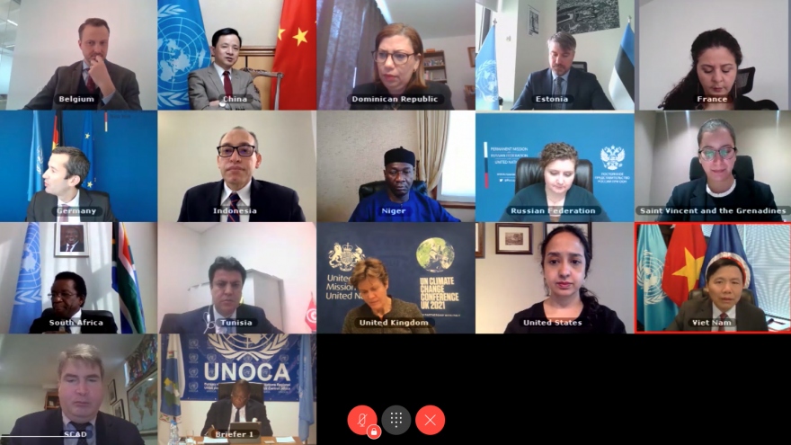 Hội đồng Bảo an Liên Hợp Quốc họp bàn về tình hình Trung Phi