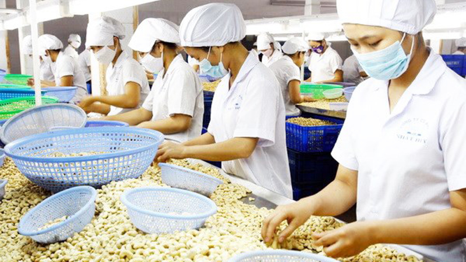 Vietnam's agriculture needs support from foreign partners: MARD
