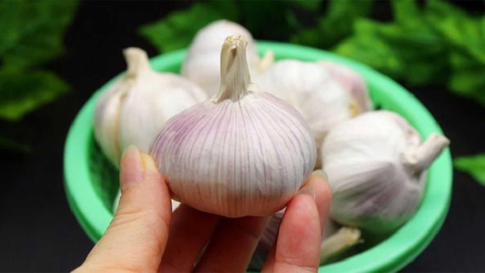 Bảo quản tỏi khô tới vài năm với những mẹo đơn giản 