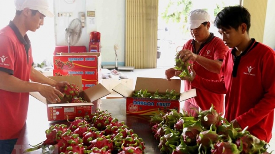 Vietnamese enterprises contribute to Vietnam-Australia trade