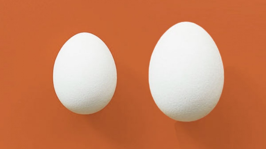 Lý do bạn nên chọn trứng vịt thay cho trứng gà