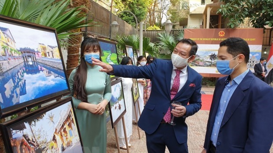 Vietnamese culture promoted in Egypt