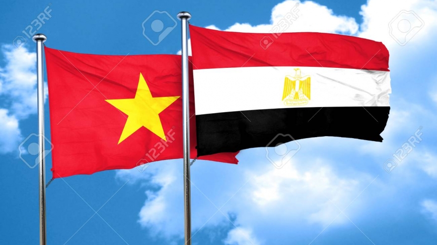 Vietnam, Egypt srtive to tap into potential for stronger economic ties