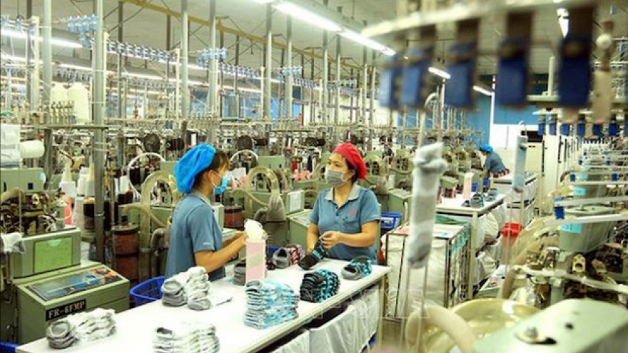 Vietnam to have 12 ecosystems with revenue of US$100 billion: McKinsey