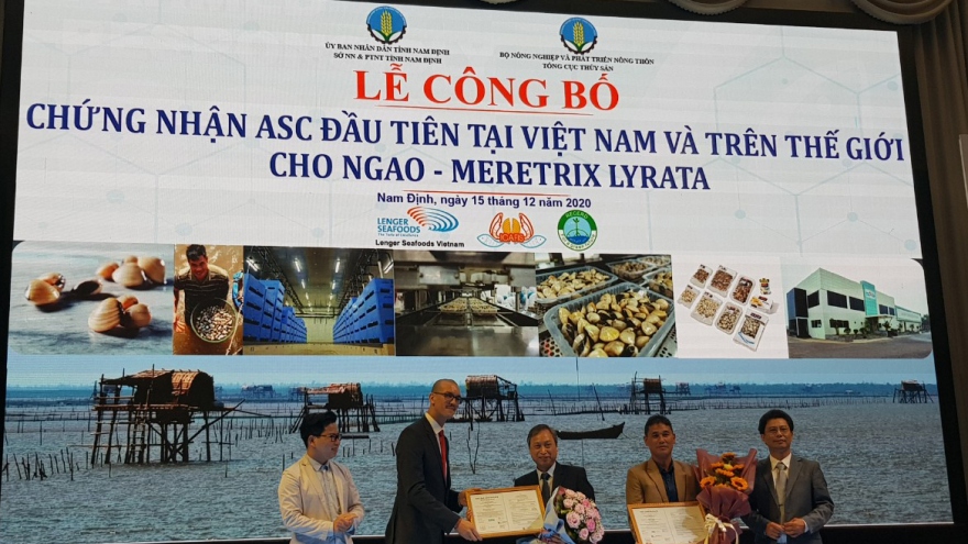 Lần đầu tiên trên thế giới, ngao Việt Nam được chứng nhận ASC