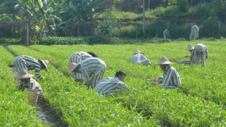 Quy định về tư trang và quần áo phạm nhân được cấp phát trong 1 năm