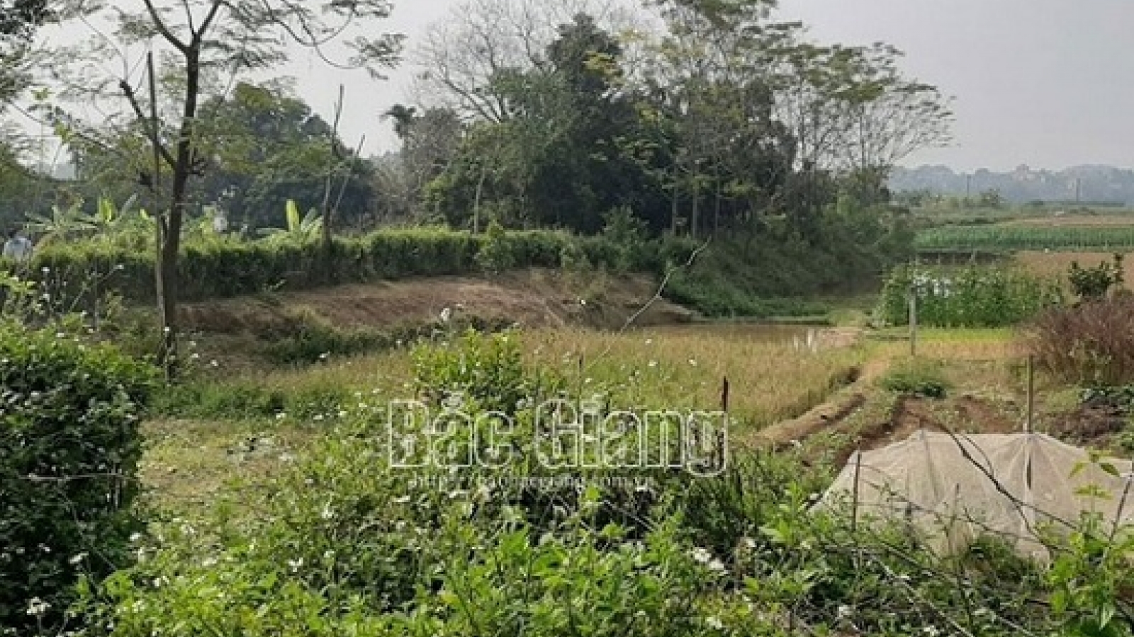 Đôi nam nữ tử vong trong chòi trông cá, nghi do mâu thuẫn tình cảm