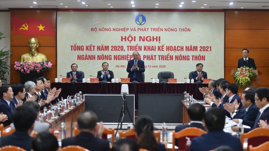 Thủ tướng: Không được để giá thịt lợn tăng cao dịp Tết Nguyên Đán 2021