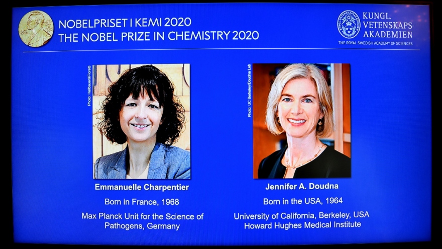 Trao giải thưởng Nobel hóa học 2020 theo hình thức trực tuyến