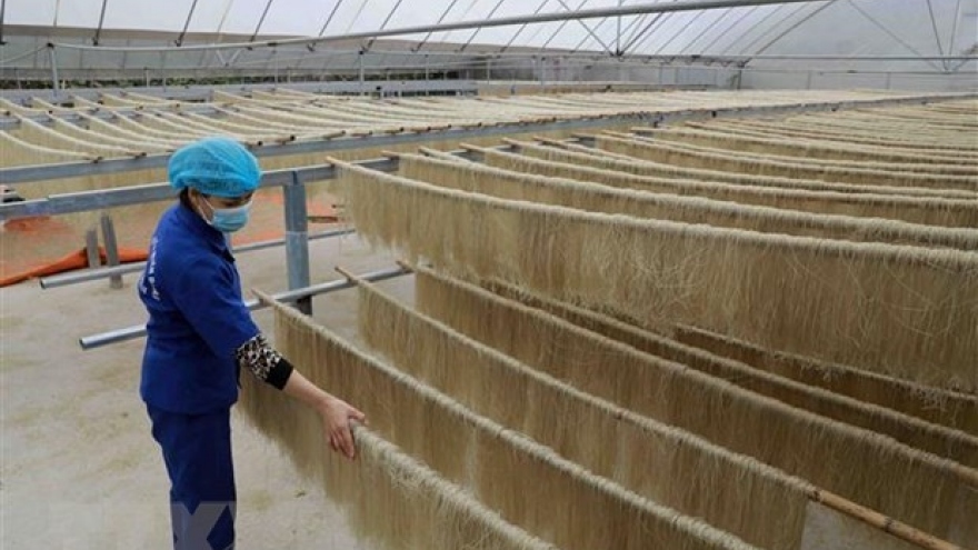 Vietnam adds 3,200 new OCOP products this year