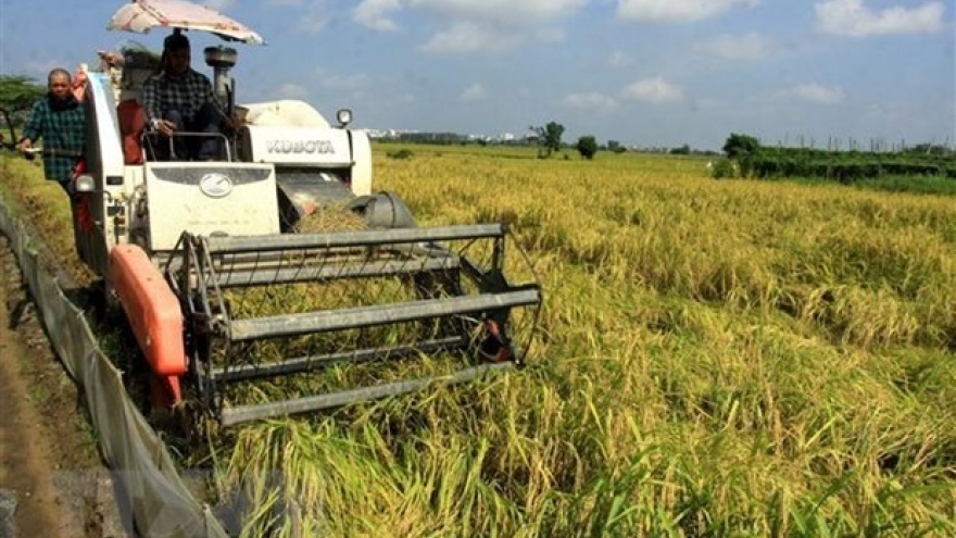 Vietnam to work to ensure food security