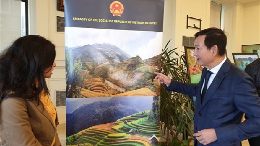 Vietnamese culture on show in Egypt’s second-largest city