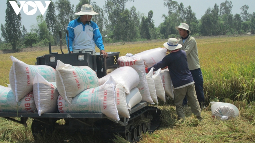 Ngành nông nghiệp vẫn ghi kỷ lục mới dù thiên tai, dịch bệnh