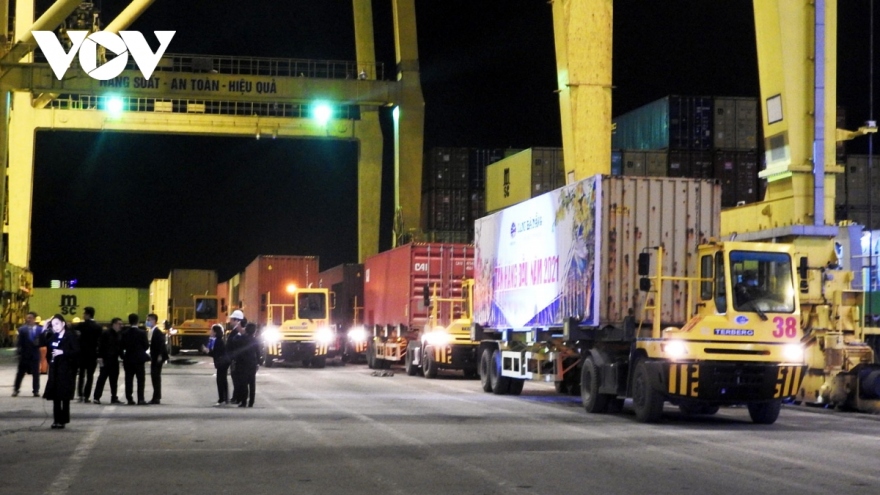Da Nang welcomes first tonnes of cargo in New Year