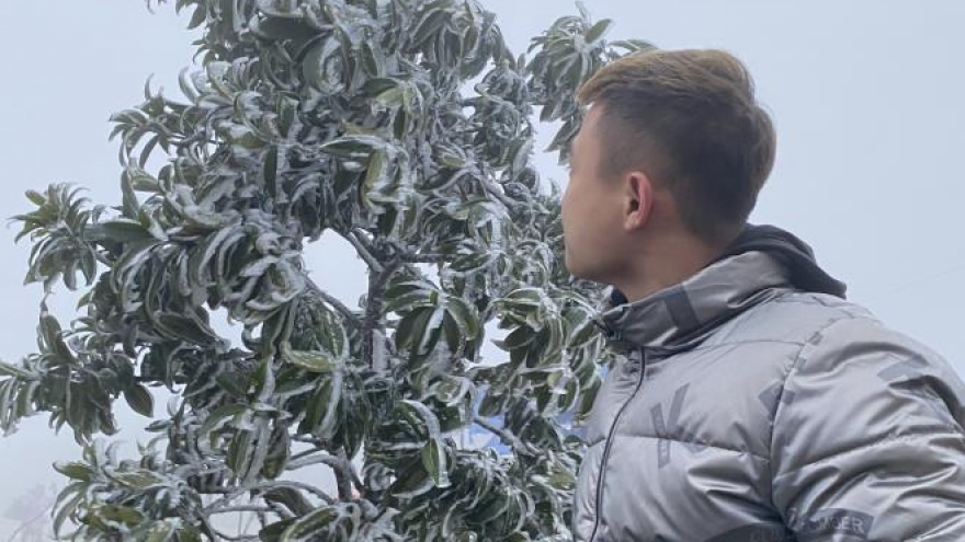 Mau Son Mt peak covered in frost as temperature drops to minus 1