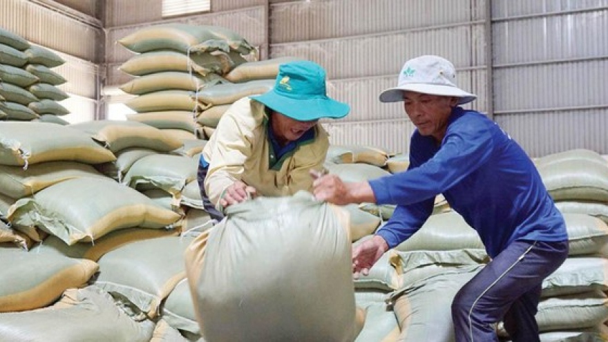 Vietnam rice exports to the Philippines reached over US$1 billion