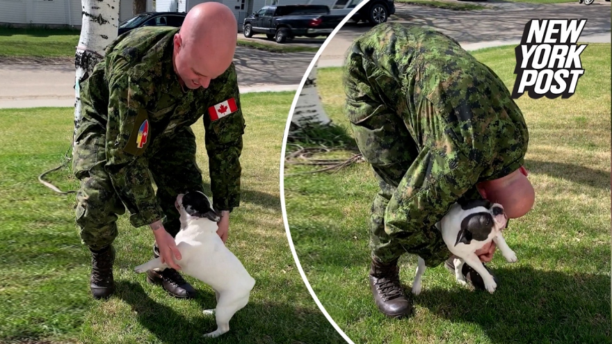 Cún cưng mừng rỡ khi đoàn tụ với quân nhân người Canada sau hơn 6 năm xa cách