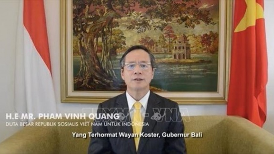 Indonesia-Vietnam Friendship Association promotes bilateral ties