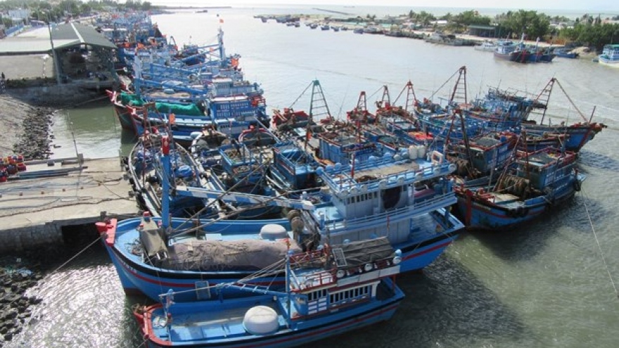 Vietnam makes progress in fight against IUU fishing