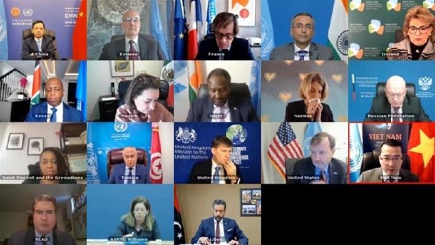 Vietnam backs comprehensive political solution to Libyan issue: Diplomat