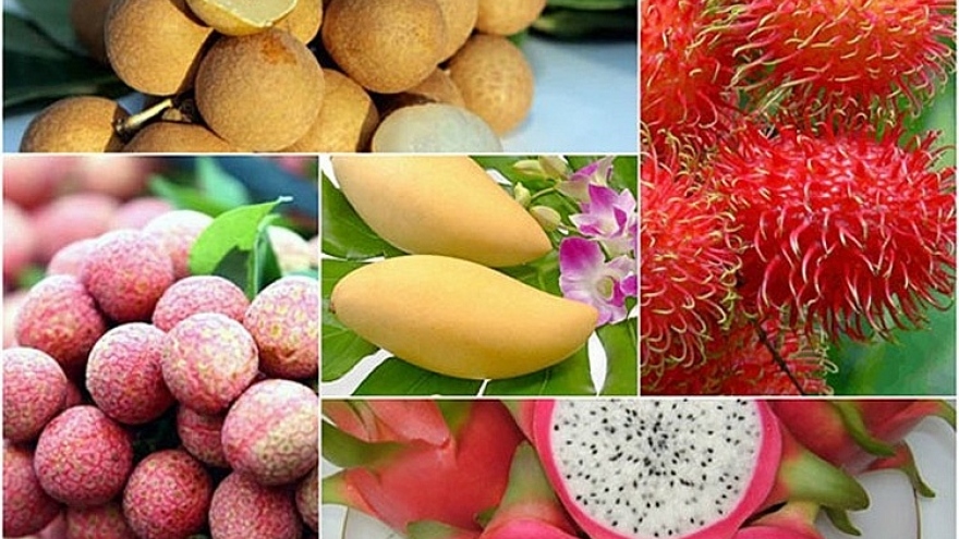 Fruit, nut exports to demanding markets enjoy growth 