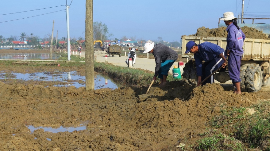 Thừa Thiên Huế tập trung hỗ trợ nông dân sản xuất vụ Đông Xuân