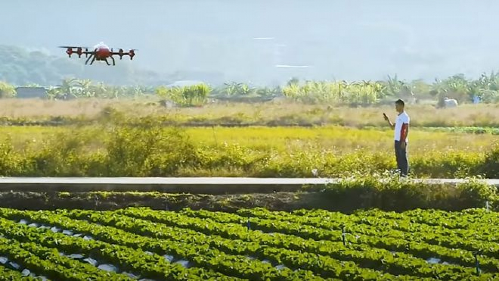 Trung Quốc kêu gọi nhân tài công nghệ về quê phát triển nông thôn
