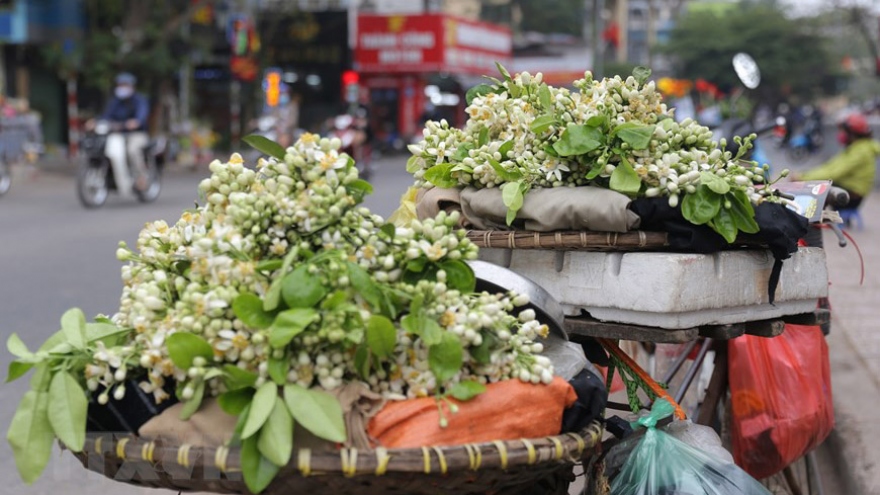 Hanoians prepare flower offerings on 15th day of first lunar month
