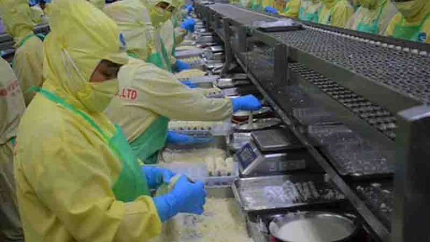 US’s removal of anti-dumping duties on Minh Phu frozen shrimp a fair decision: MoIT