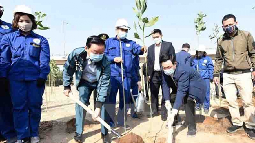Hanoi launches tree-planting festival on New Year of Ox