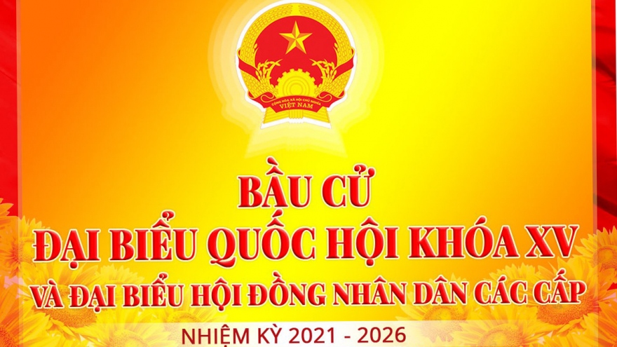 Từ hôm nay, TPHCM bắt đầu nhận hồ sơ ứng cử ĐBQH, đại biểu HĐND