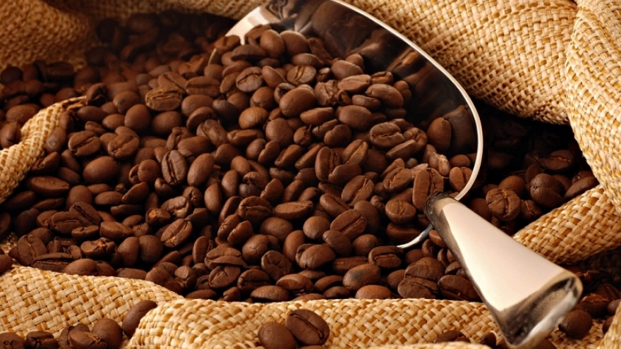 Coffee sector to boost exports on EVFTA incentives