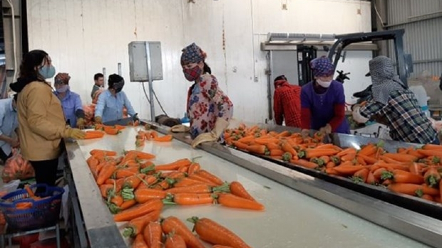 Efforts made to promote sale of crops in virus-hit provinces