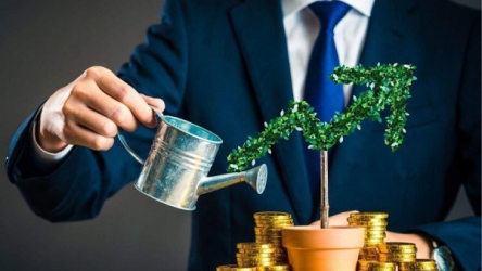 Investors pour money into startups, promote unicorns
