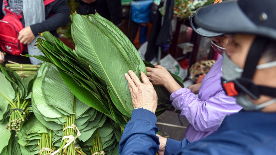 Độc đáo khu chợ ở Hà Nội chỉ mở 1 lần trong năm