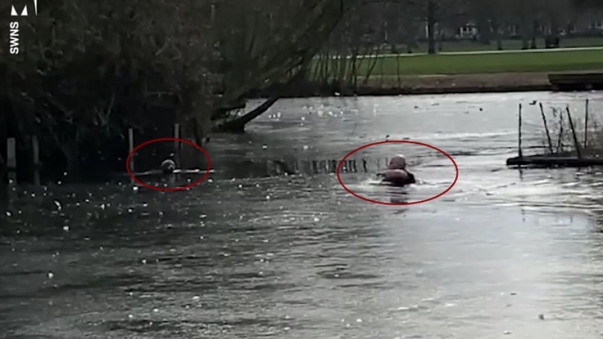 Video: Chó con bị kẹt trong hồ nước lạnh được người đàn ông lao xuống cứu